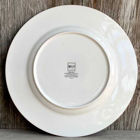 Vintage Discontinued Mikasa Optima SPRING LEGACY 10.75” Dinner Plate Replacement - Picture 5 of 16